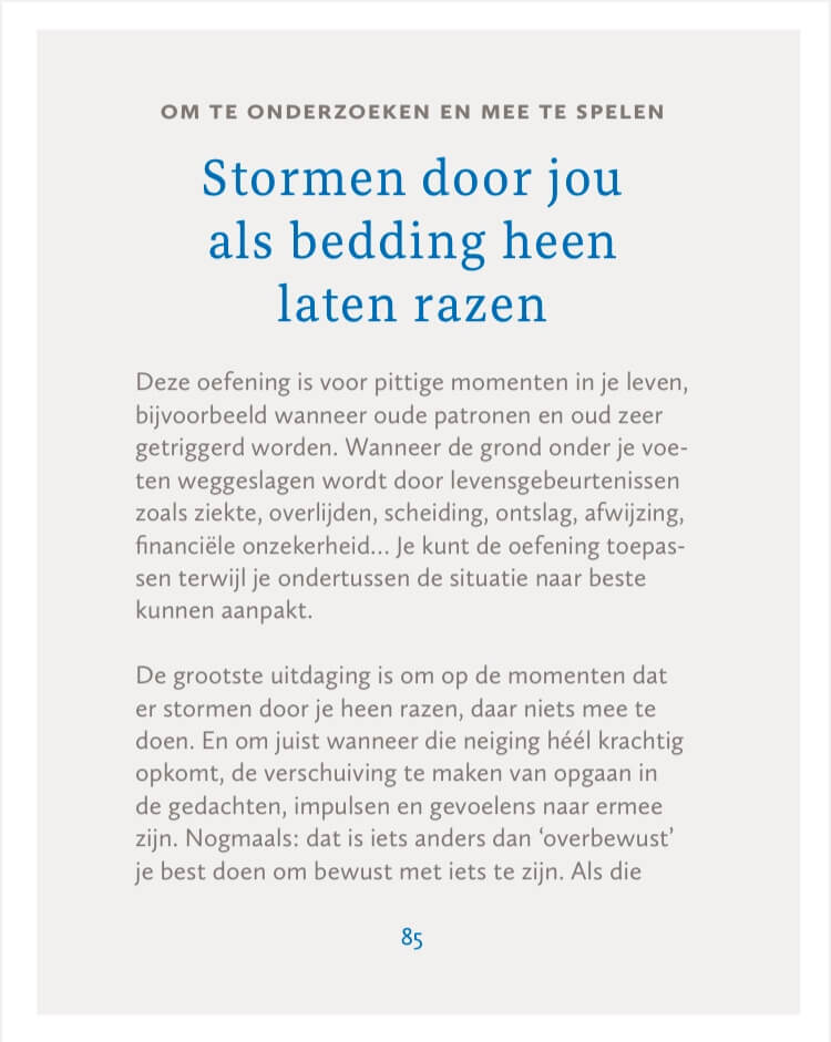 Stukje boekinhoud "Stormen door jou als bedding heen laten razen 1