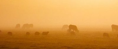 Desoriëntatie bij spiritueel ontwaken, hoe zit dat